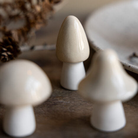 Deko Pilz "Bohult" beige - Storefactory (Bild 3)