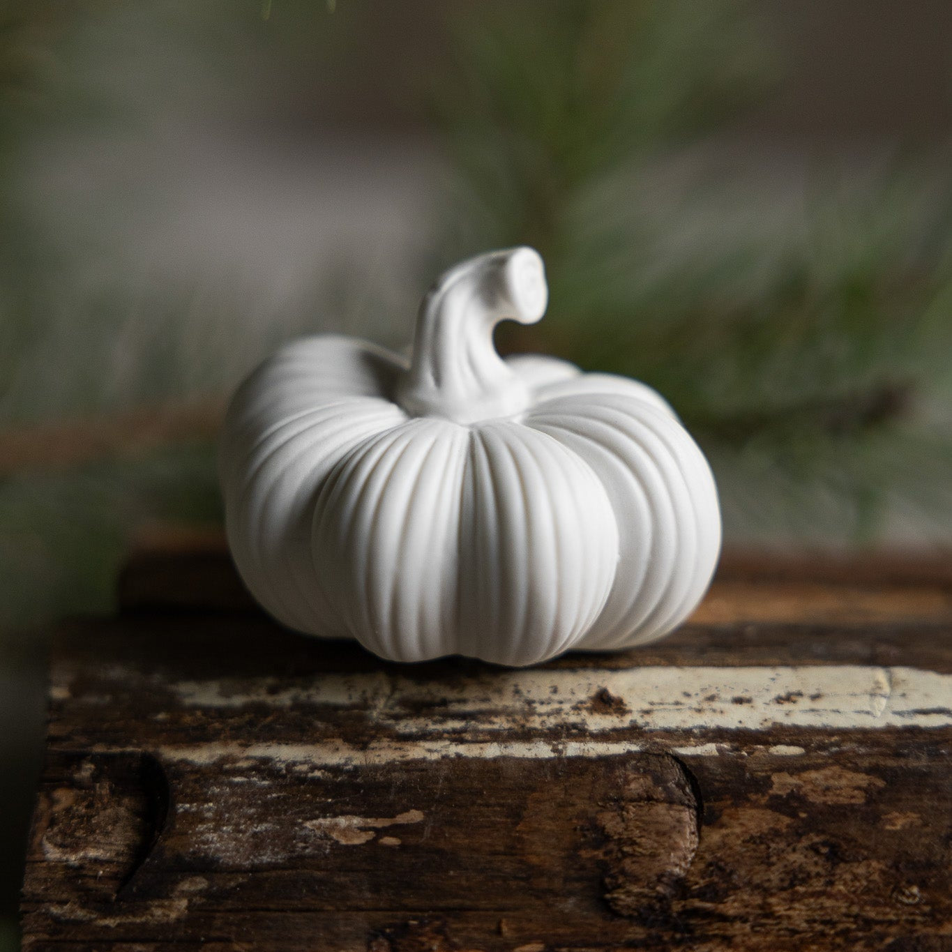 Zucca decorativa "Ekasen" - Storefactory