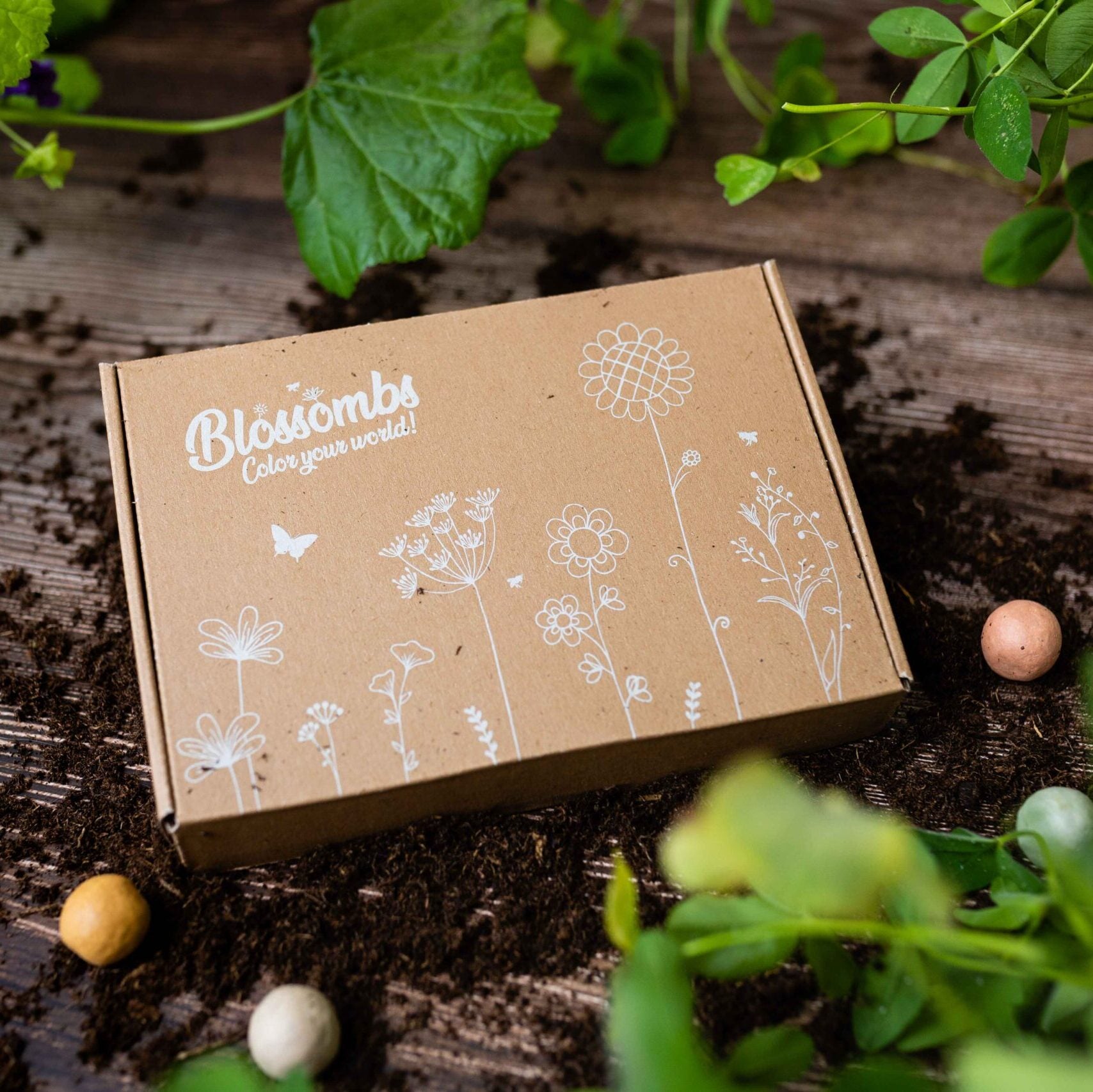 Geschenkbox Klein - Blossombs