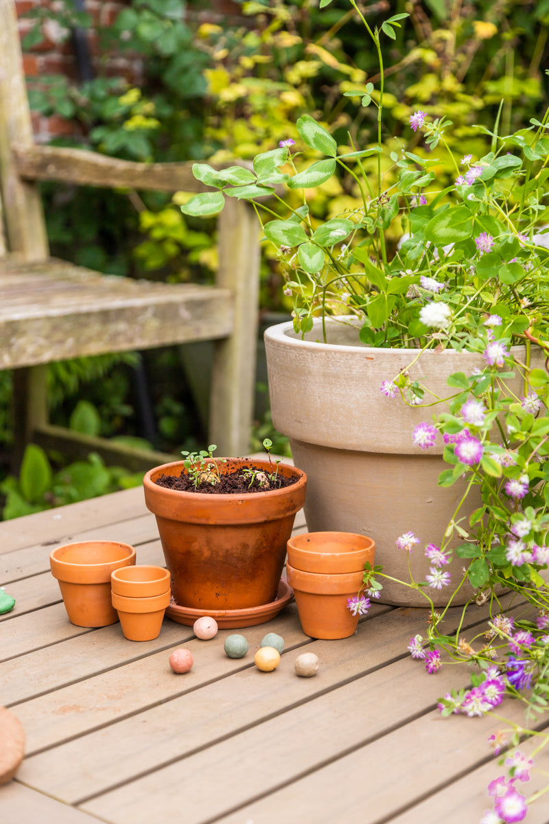Geschenkbox Mini "Vielen Dank" - Blossombs