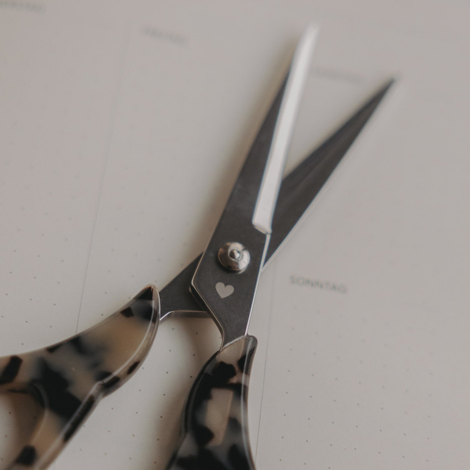 Scissors silver Leo - Eulenschnitt