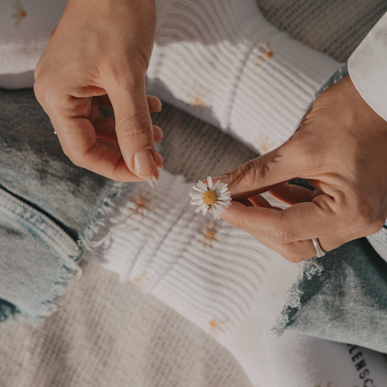 Socken "Allover Daisy" weiss 35-38 - Eulenschnitt