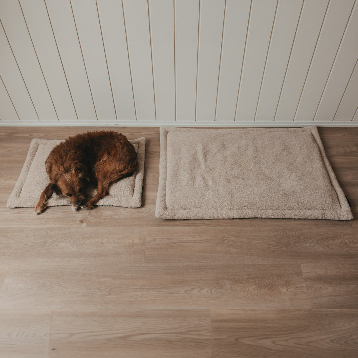 Couverture pour chien coeur crème petite - Eulenschnitt (Image 8)