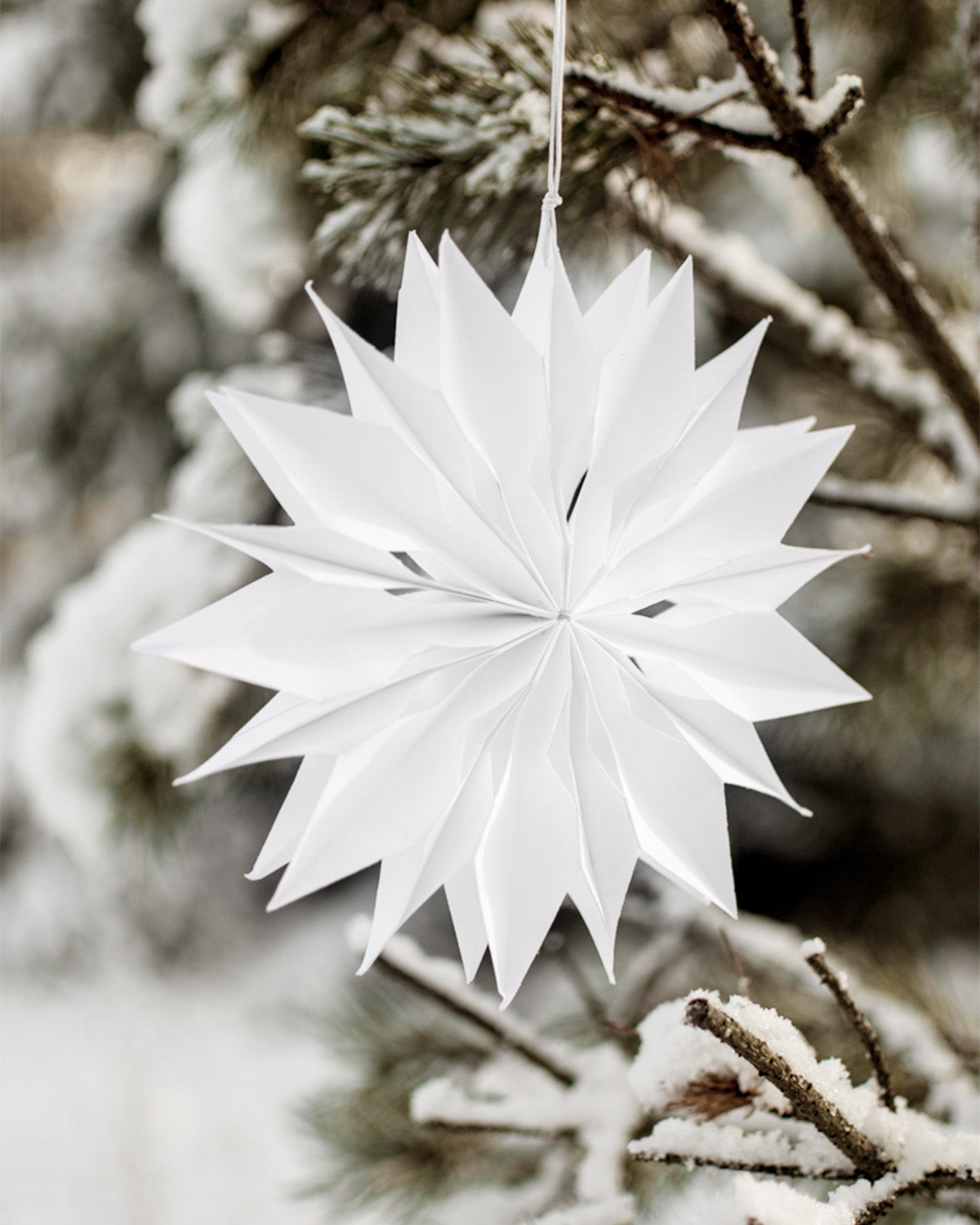 Weihnachtsstern Papier "Stenkulla" gross weiss – Storefactory