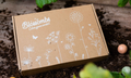 Geschenkboxen klein