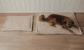 Hundedecken