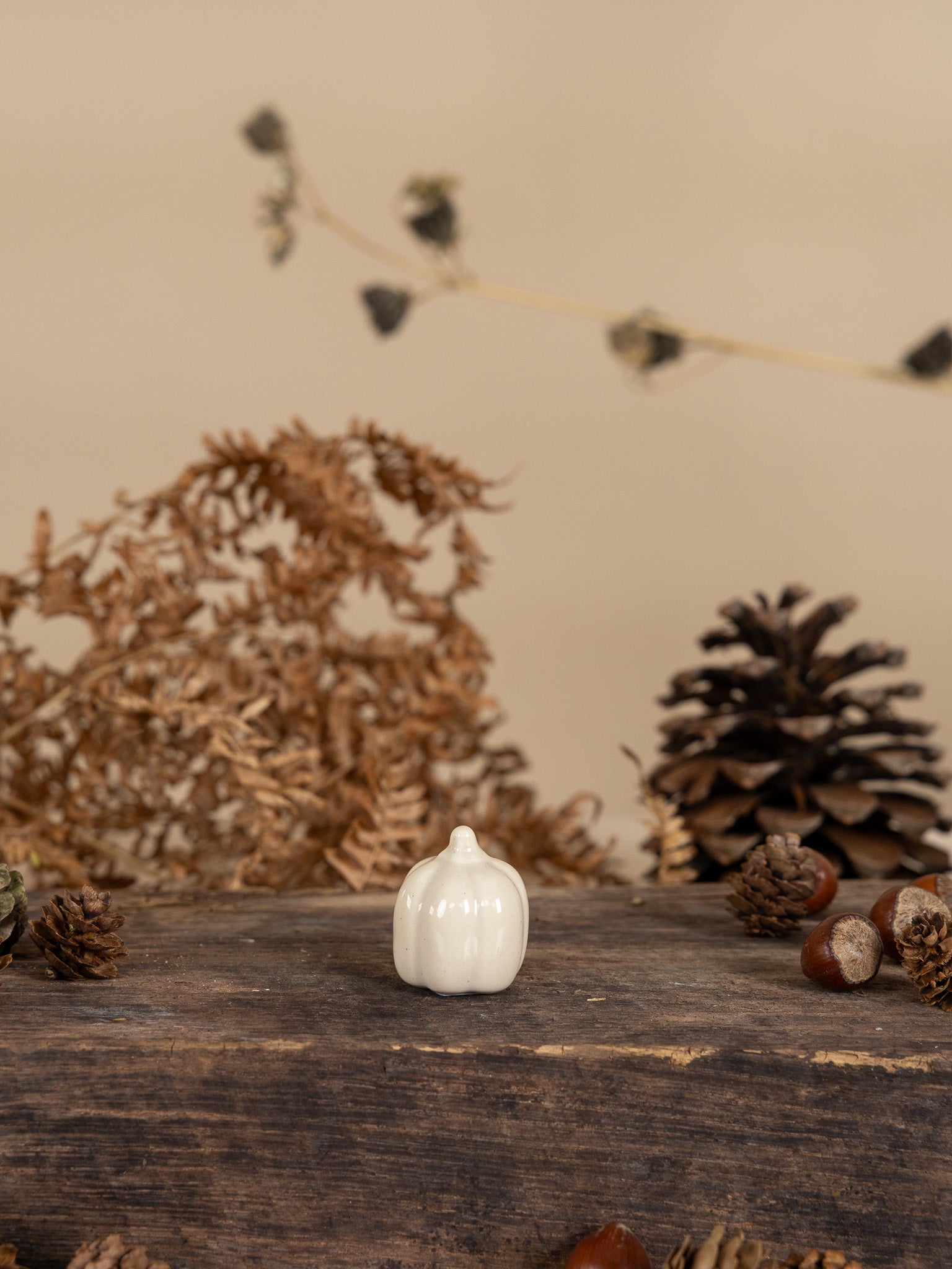 Citrouille décorative "Tranebo" mini vanille - Storefactory