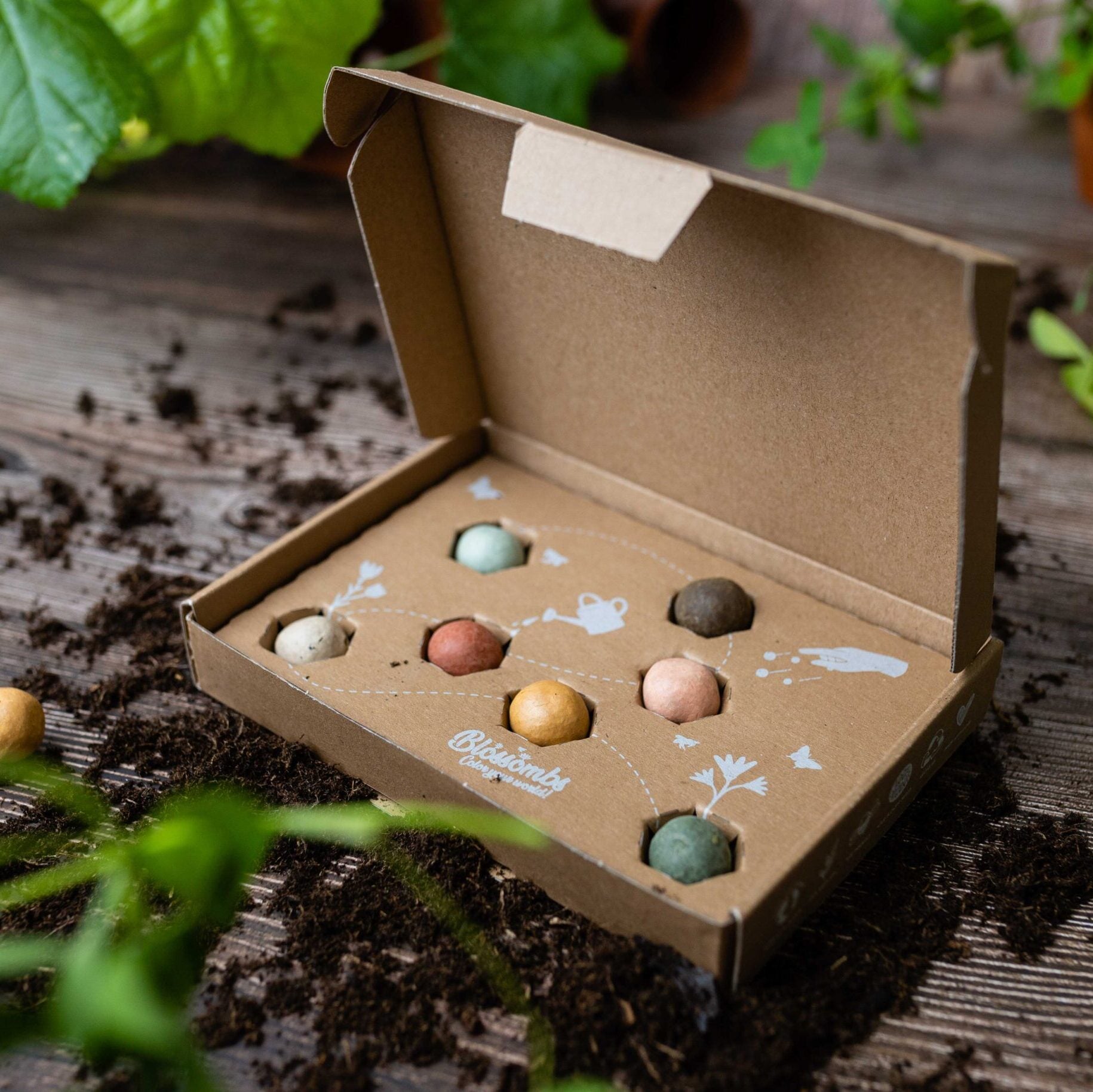 Geschenkbox Klein "Blumen für deinen Geburtstag" - Blossombs
