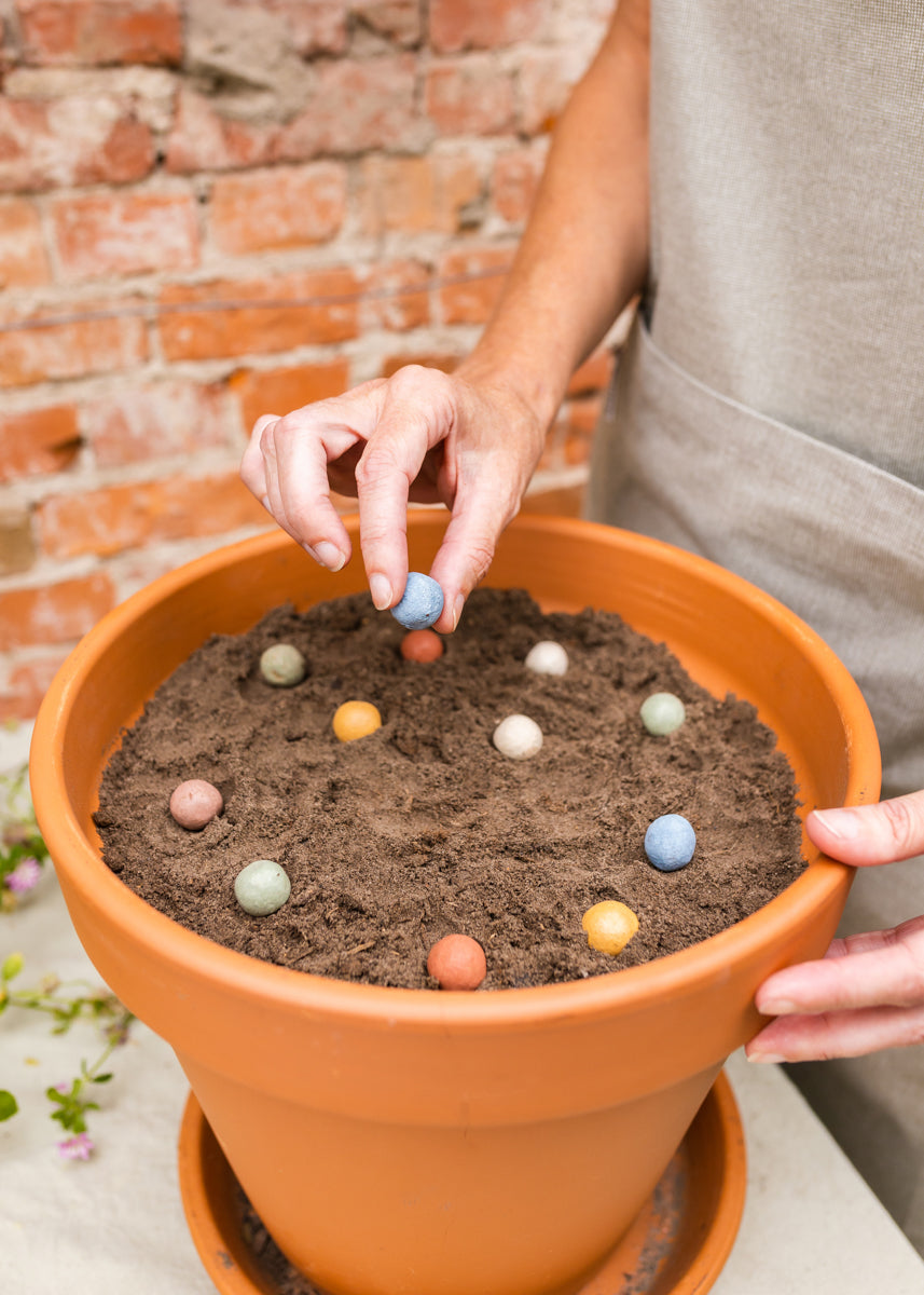 Geschenkbox Mittel - Blossombs