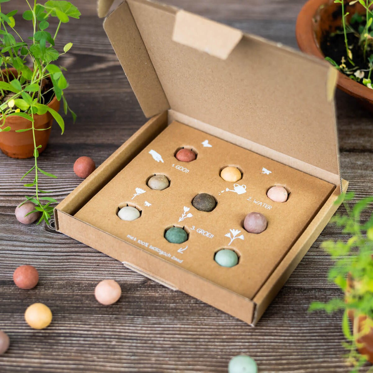Geschenkbox Mittel "Blumen für dich" - Blossombs