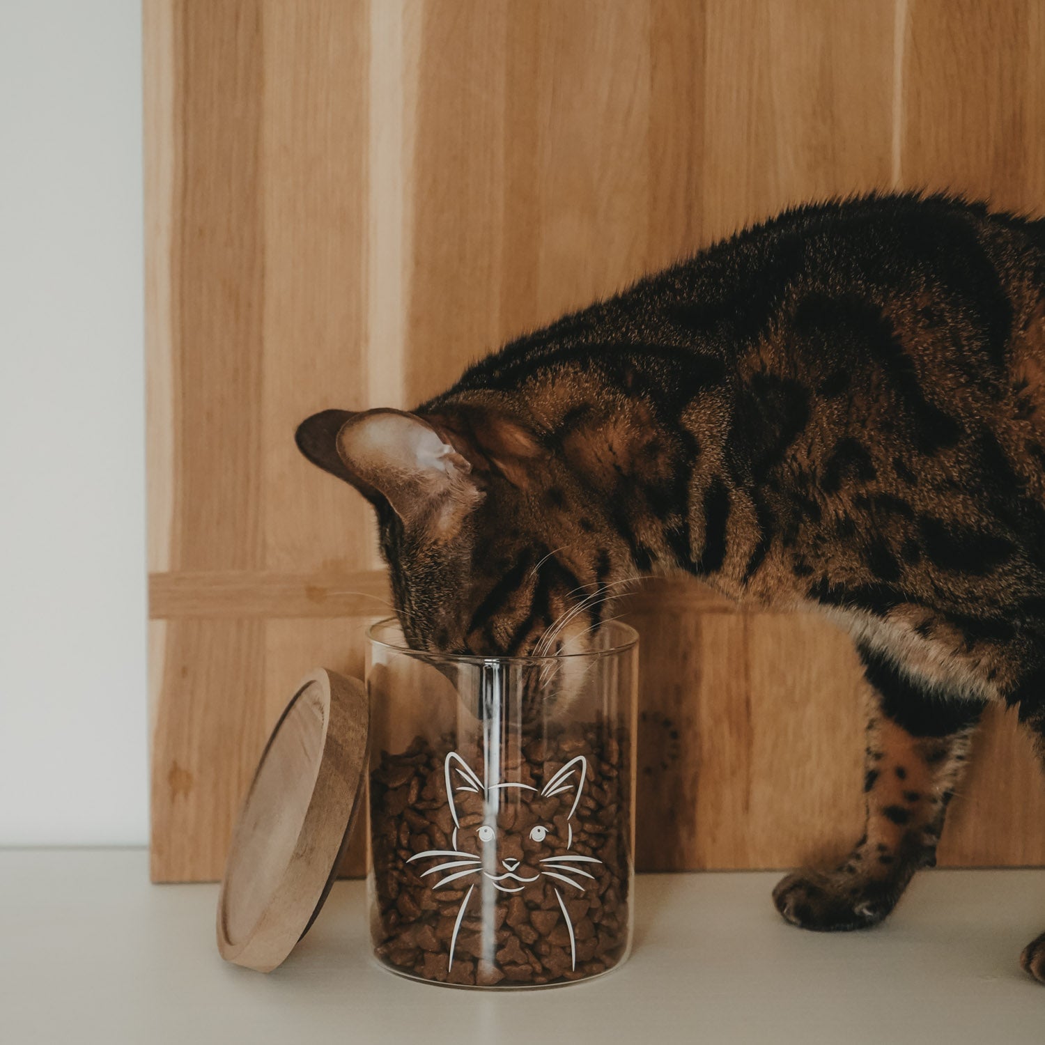 Vorratsglas Katze 13cm - Eulenschnitt (Bild 5)