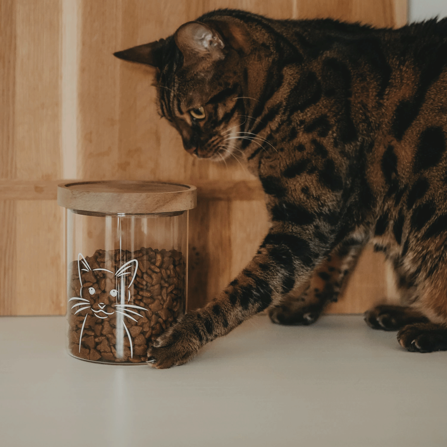 Vorratsglas Katze 13cm - Eulenschnitt (Bild 4)
