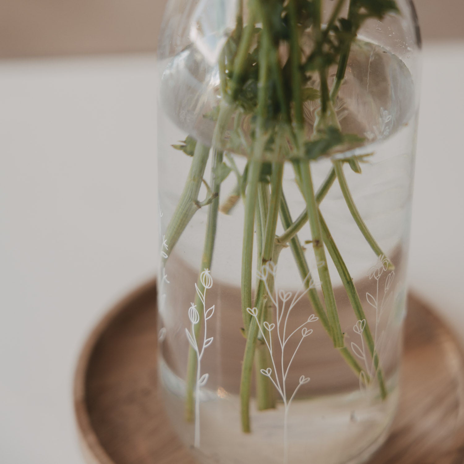 Carafe flower meadow white - Eulenschnitt (Image 7)