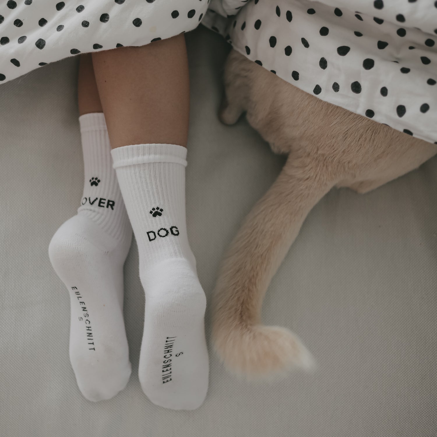 Socks "DOG LOVER" white 35-38 - Eulenschnitt