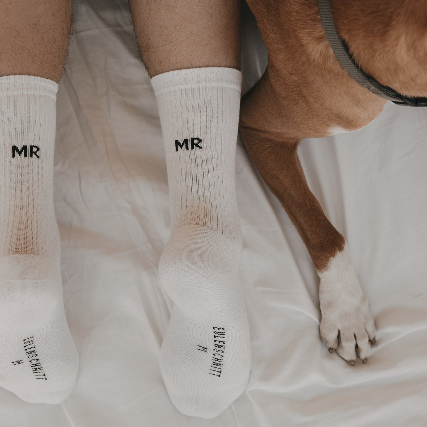 Socken "Mr" weiss 43-46 - Eulenschnitt