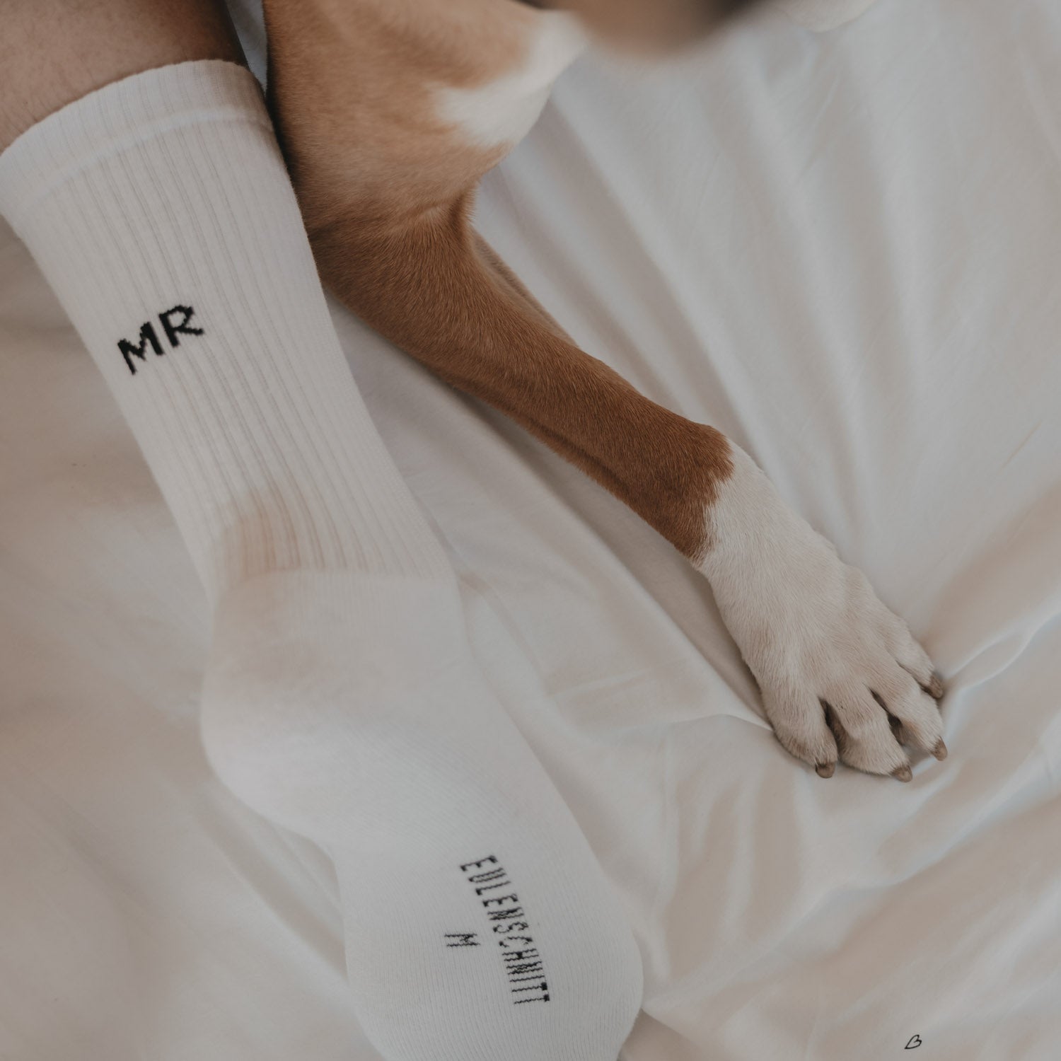 Chaussettes "Mr" blanches 43-46 - Eulenschnitt