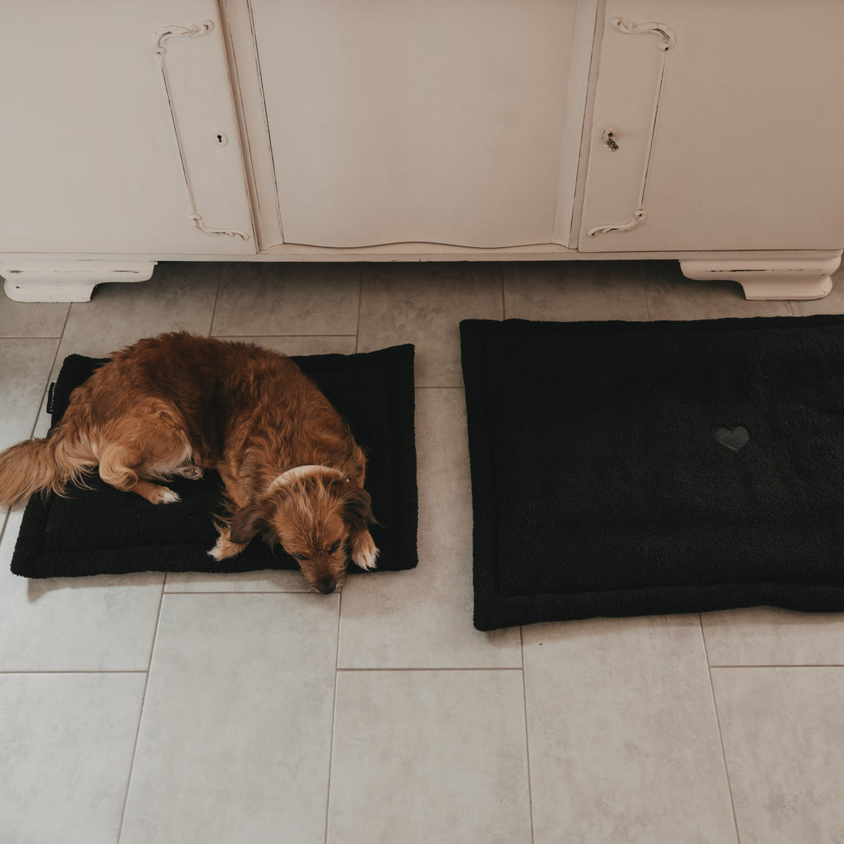 Hundedecke Herz schwarz klein - Eulenschnitt (Bild 8)