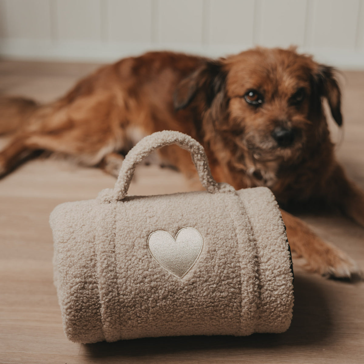 Couverture pour chien coeur crème petite - Eulenschnitt