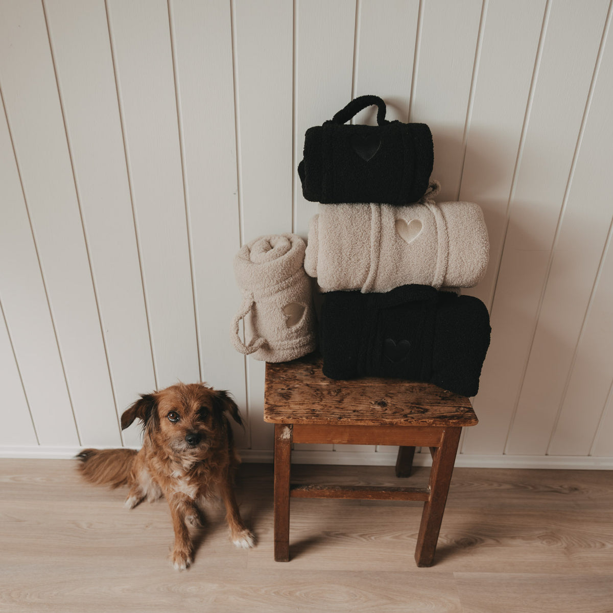 Couverture pour chien coeur crème petite - Eulenschnitt (Image 9)