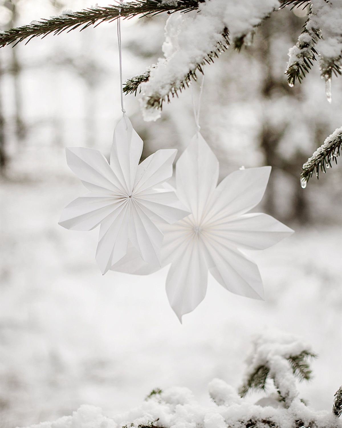 Weihnachtsstern Papier "Dalby" weiss – Storefactory