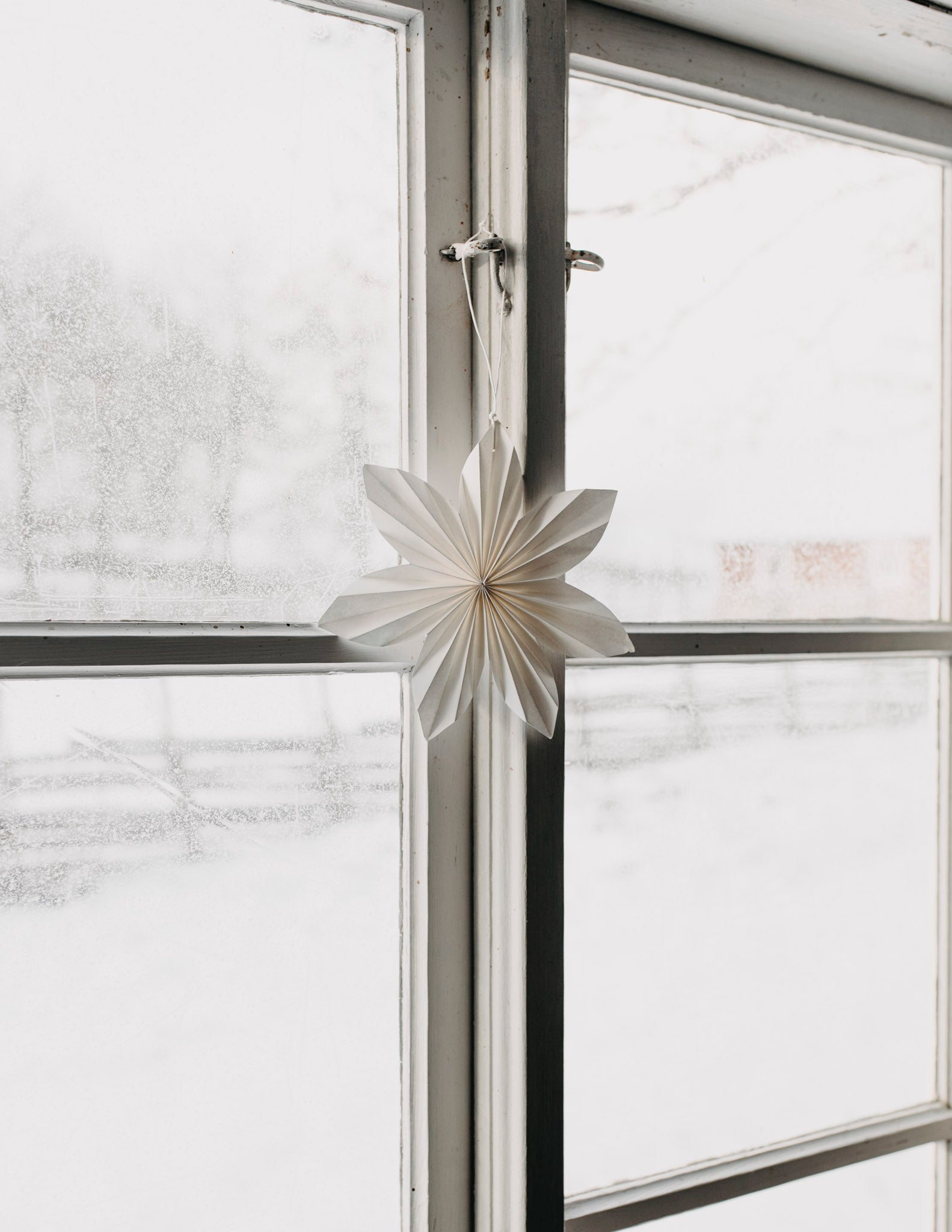 Weihnachtsstern Papier "Dalby" weiss – Storefactory