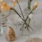 Mobile Preview: Vase of Glass Bunny medium black - Eulenschnitt