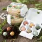 Preview: Egg box "Frohe Ostern" Chicks - Blossombs - Article Picture 2