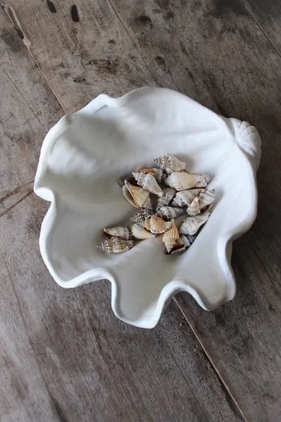 Decorative bowl shell medium - Majas Cottage - Article Picture 2